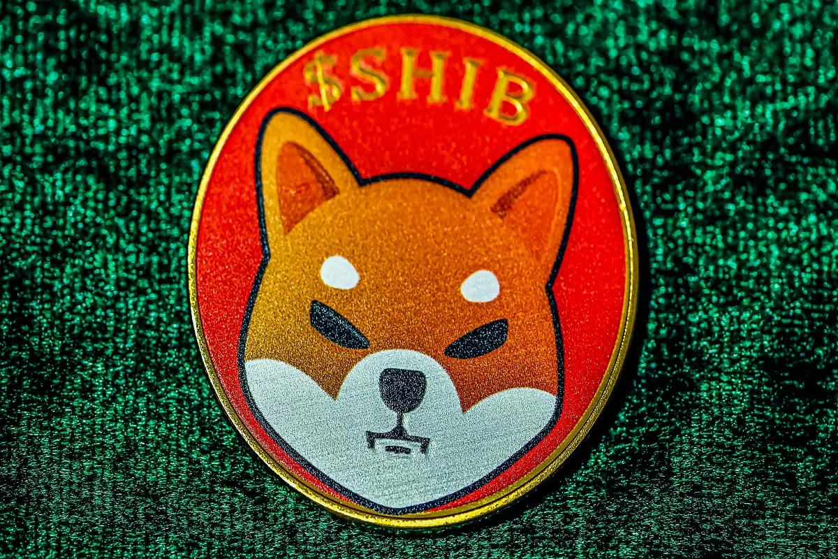 p-90845551-SHIB-coin-rally