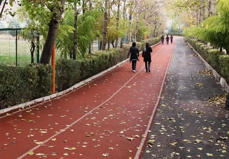 “مجموعه ورزشی انقلاب” واگذار می شود؟