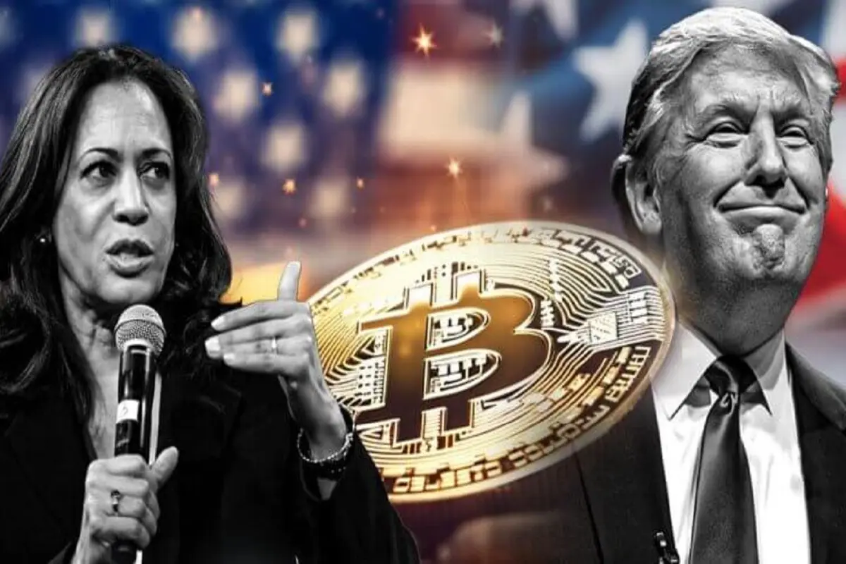 trump-harris-1-768x403