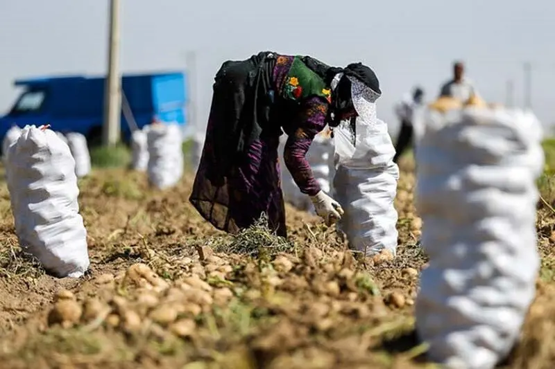 پرداخت تسهیلات اشتغال روستایی از سر گرفته می شود