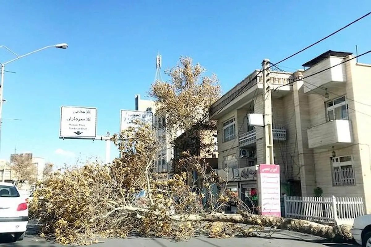 طوفان و تندباد به جان روستاهای جویبار افتاد