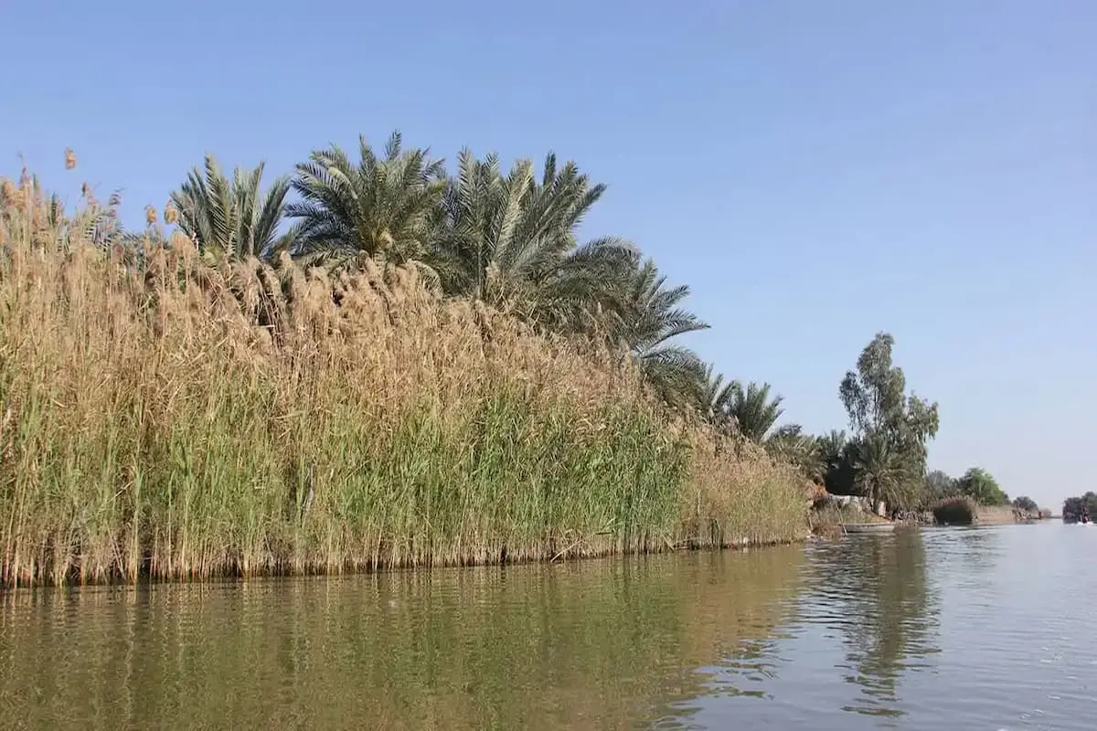 تالاب شادگان