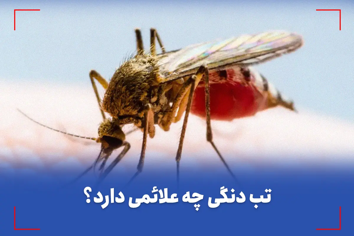 کاور-عکس-ویدئویی