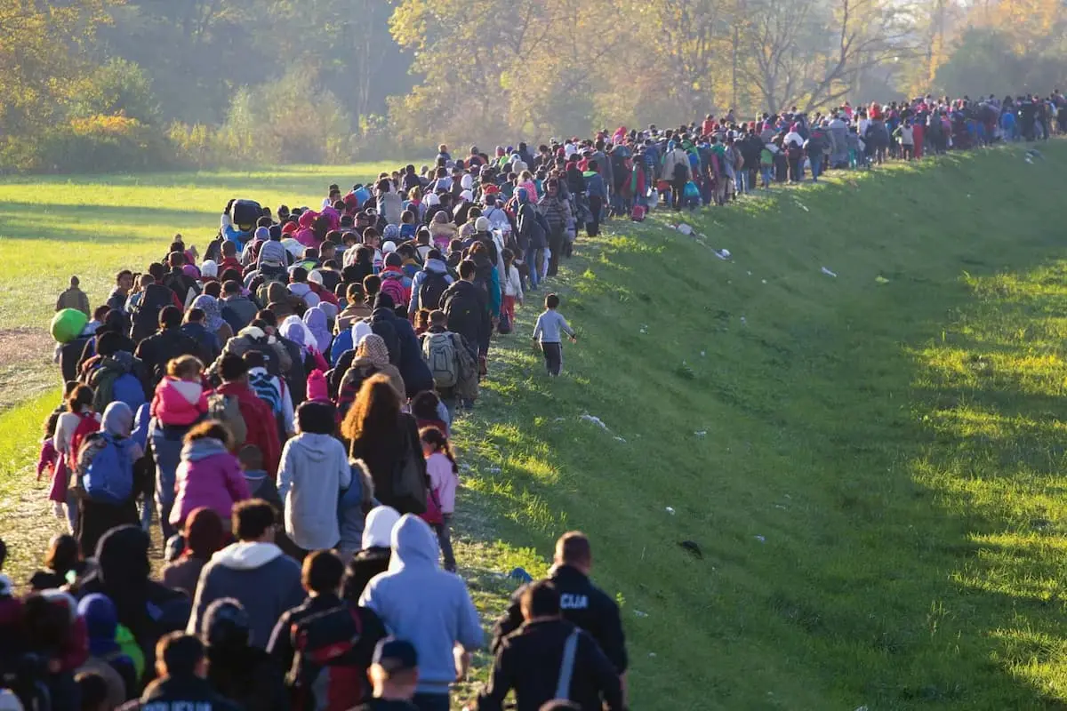 refugees-line-officials-Middle-East-Slovenia-Iraq-October-25-2015