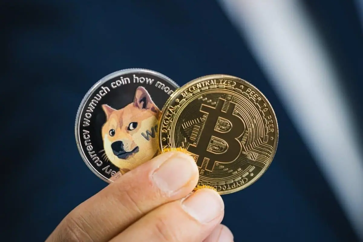 btcvsdoge