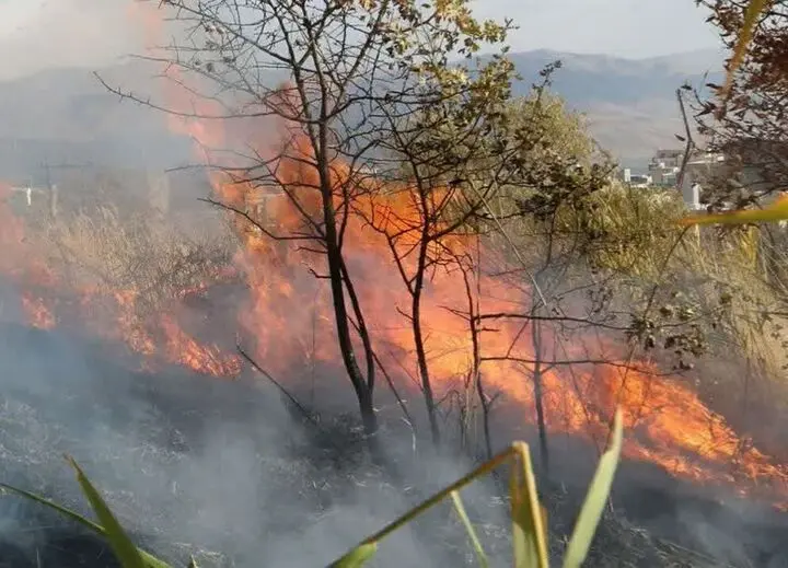 اتش سوزی مناطق حفاظت شده