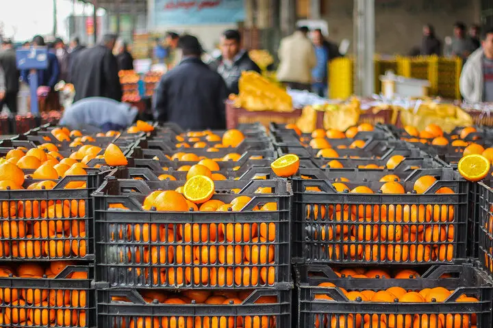 میادین میوه و تره بار تهران از فردا باز هستند