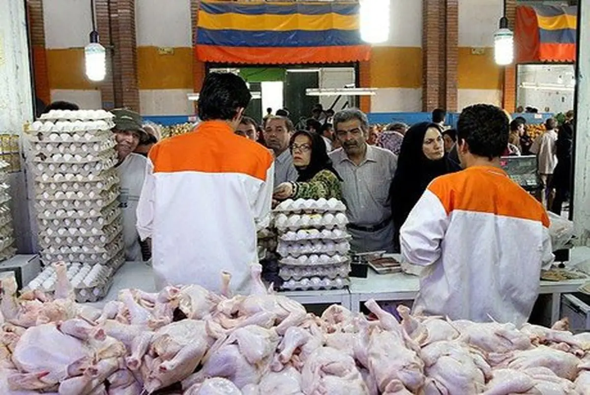 شایعه در بازار؛ مرغ گران می شود!