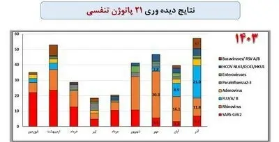 درصد ویروس‌های تنفسی شناسایی شده در کشور سال ۱۴۰۳