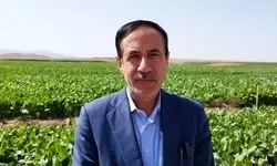 معاون وزیر: یک‌هزار طرح کشاورزی در کشور افتتاح شد