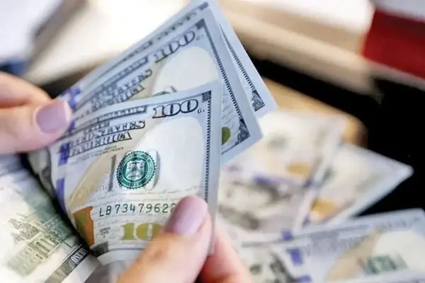 قیمت دلار هرات امروز سه شنبه 12 تیر 1403
