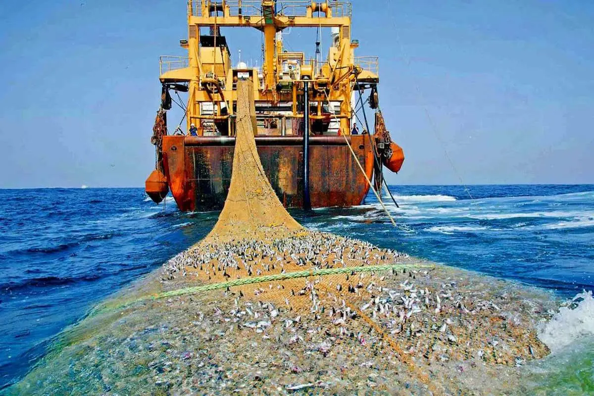 تداوم مقابله با صید ترال در خلیج فارس و دریای عمان