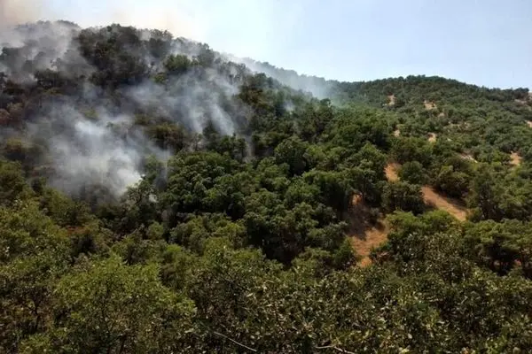 آتش سوزی گسترده در جنگل های چگنی و خرم آباد/حریق مهار شد