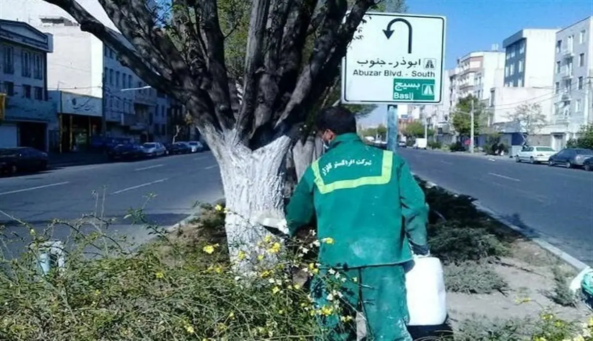 هشدار شهرداری تهران به شهروندان برای لمس درختان سفید