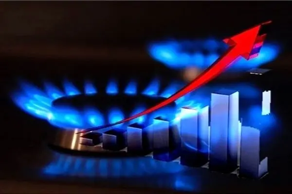 مصرف ۷۰ درصد گاز تولیدی کشور در بخش خانگی 