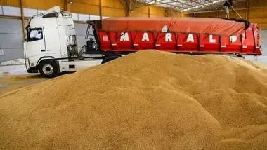 پیش بینی خرید 550 هزار تن گندم در لرستان 