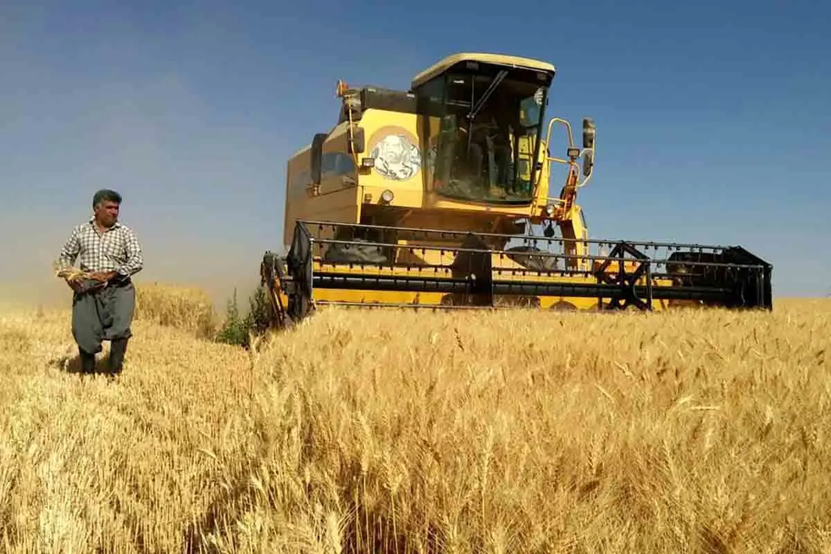 تعیین قیمت گندم متناسب با قیمت جهانی برای حمایت کشاورزان  است