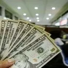 پیش بینی قیمت دلار 14 تیر 1403 / فتیله دلار در انتظار نتیجه انتخابات پایین آمد
