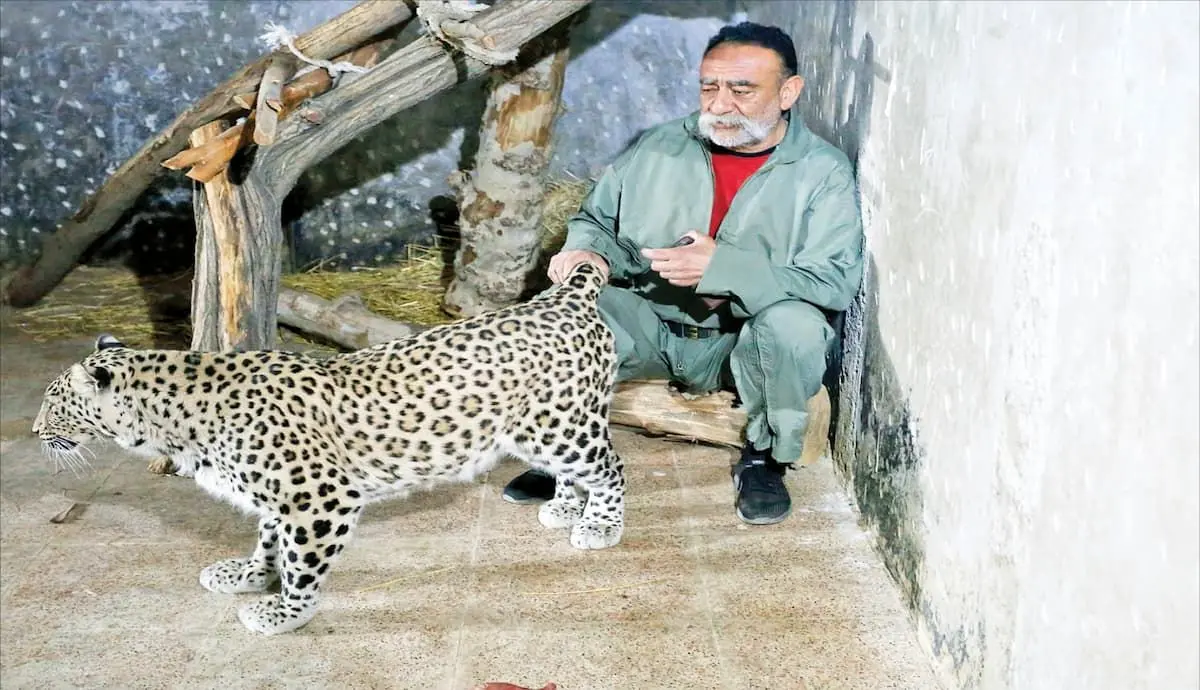 مردی که ۷۰۰ حیوان در خانه‌اش نگهداری می‌کند