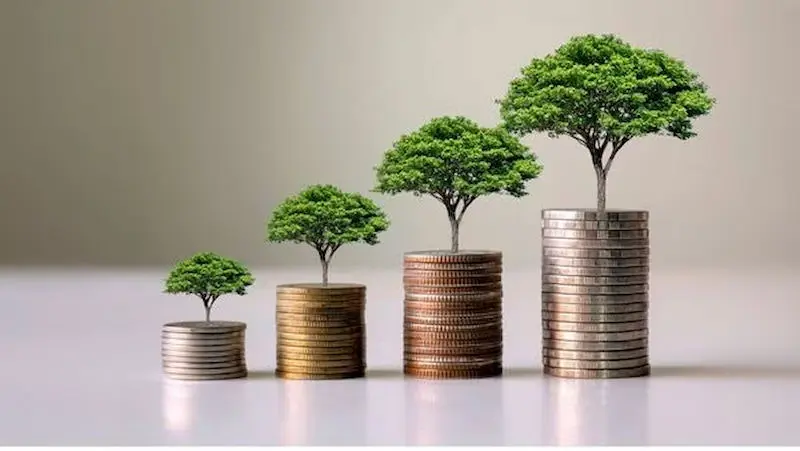 سرمایه‌گذاری‌های پایدار چگونه انجام می‌شوند؟ / سرمایه‌گذاری‌ سودآور و دوستدار محیط زیست