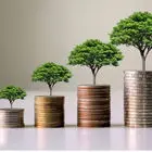 سرمایه‌گذاری‌های پایدار چگونه انجام می‌شوند؟ / سرمایه‌گذاری‌ سودآور و دوستدار محیط زیست