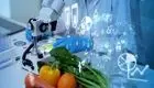 ساخت برچسب هوشمند برای پایش مواد غذایی دریایی توسط محقق ایرانی