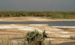 ۹ تالاب ایران بیابان شد