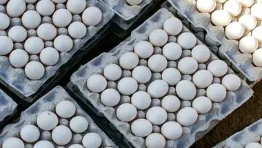 قیمت روز انواع تخم‌مرغ