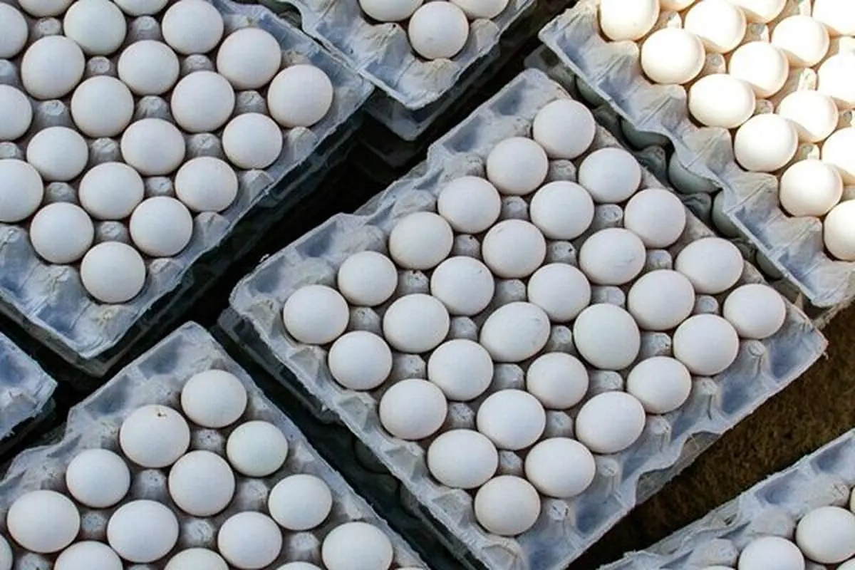 قیمت روز انواع تخم‌مرغ