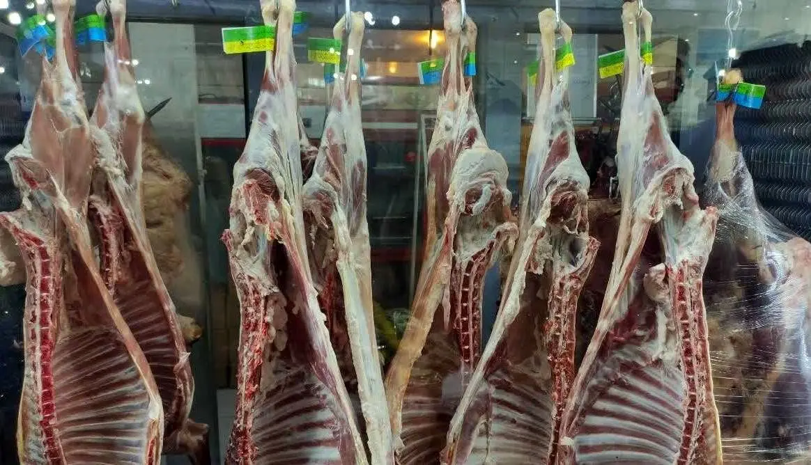 عرضه گوشت قرمز در کشتارگاه‌های کشور ۱۸ درصد کاهش یافت