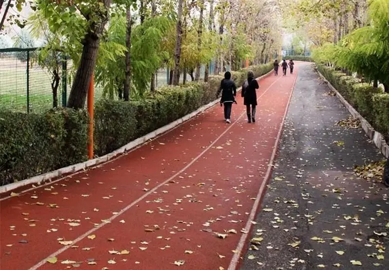 "مجموعه ورزشی انقلاب" واگذار می‌شود؟