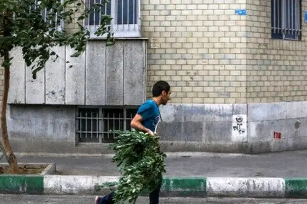 محدودیت‌های تردد در مسیرهای تشییع پیکر شهید هنیه در تهران/ محدودیت‌ها تا پایان مراسم پابرجاست