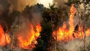 جنگل‌ها و مراتع کوه سیاه چاروسا کهگیلویه در آتش سوخت