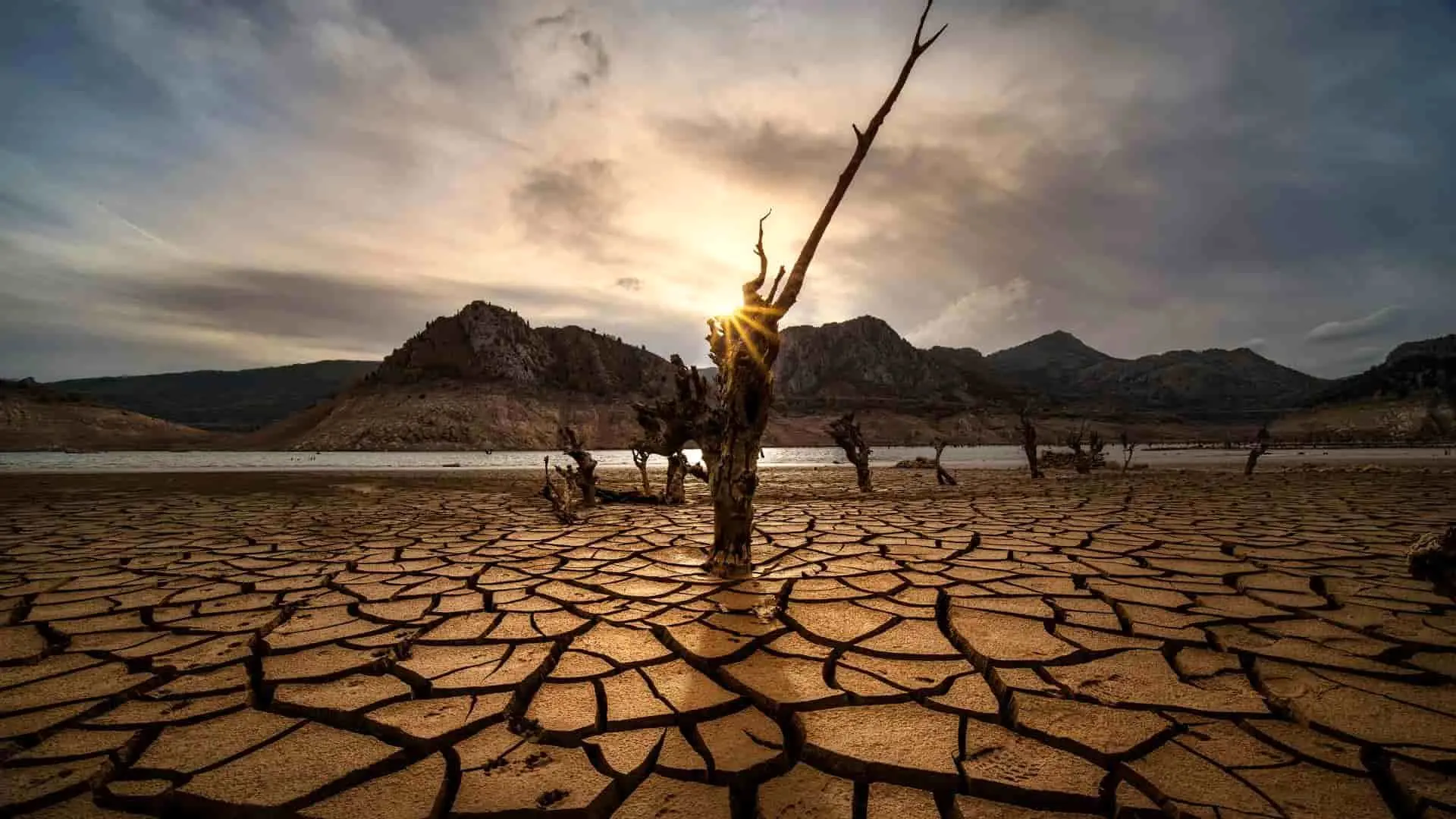 خشکسالی در اروپا به حد خطرناک رسیده است؟