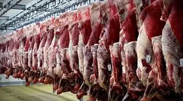 ویدئو/ وعده کاهش قیمت گوشت عملی نشد/ گوشت قرمز رکورددار تورم در دی ماه!