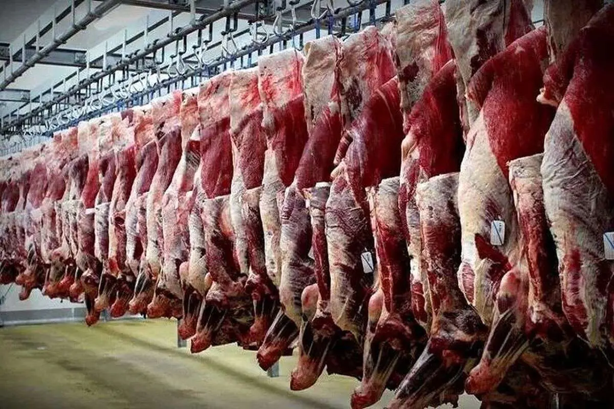 ۲۰۰۰ کیلو گوشت غیر بهداشتی در اصفهان ضبط شد 