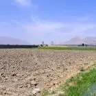 زاینده رود از اول آذر به کمک کشاورزان اصفهان می آید/ 5 راه حل تنش آبی به جای سدسازی و انتقال آب