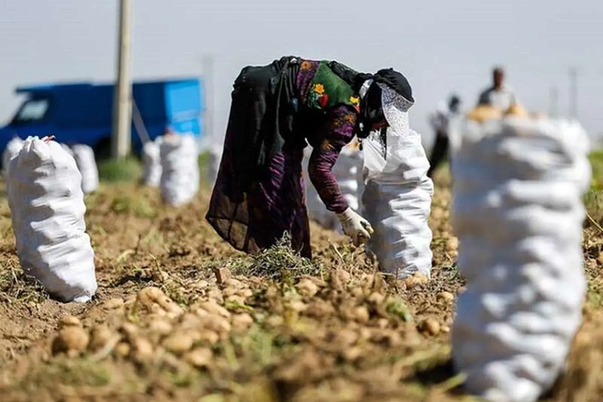 پرداخت ۲۱ هزار میلیارد تومان وام اشتغال روستایی تا دی‌ماه ۱۴۰۲