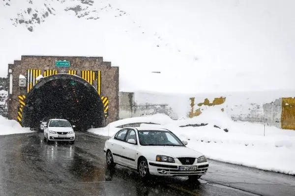 تداوم صید و فروش پرندگان مهاجر با وجود تعطیلی بازار فریدونکنار