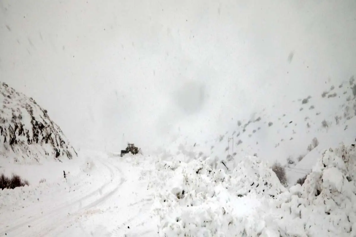 بارش برف سنگین در جاده چالوس/ مردم از سفرهای غیرضروری پرهیز کنند