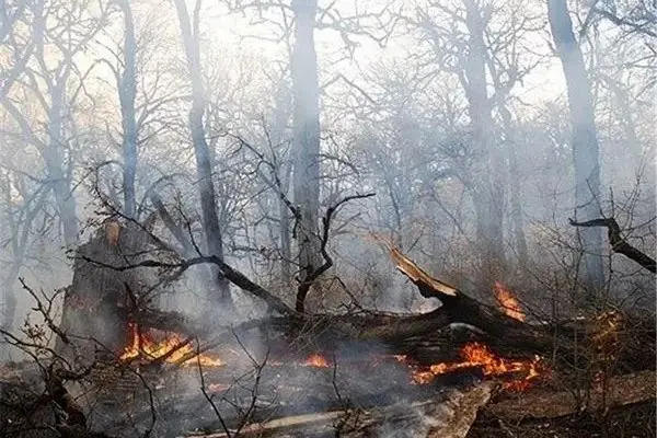 آتش سوزی گسترده در بزرگراه نیایش تهران