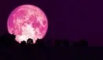 امشب ماه صورتی نمایان می‌شود