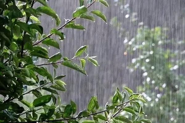 بارش باران از فردا در ۱۷ استان آغاز می‌شود