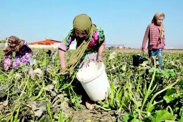 سالانه بین ۳۰۰۰ تا ۳۵۰۰ کودک در کشور به سرطان مبتلا می‌ شوند