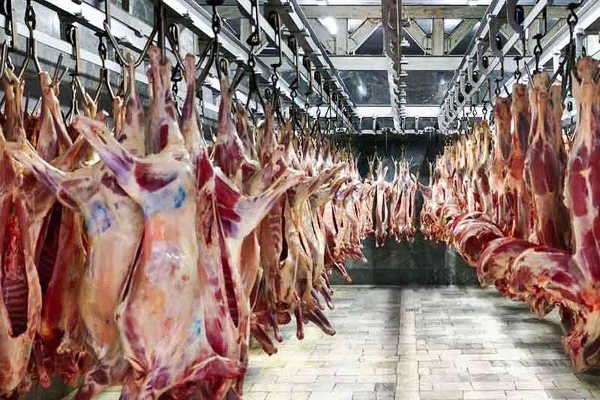 عرضه روزانه ۱۰۰ تن گوشت گوسفندی در تهران