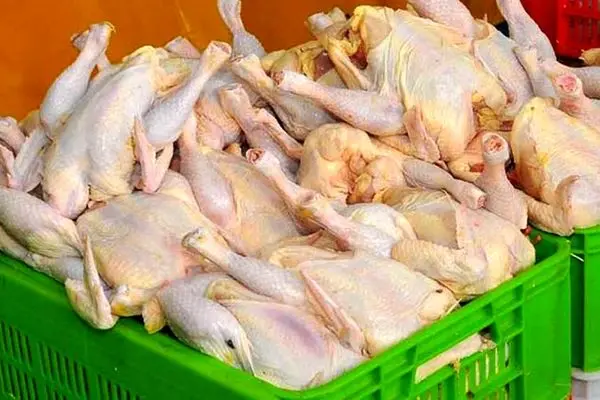 کشتار مرغ 4 درصد افزایش یافت