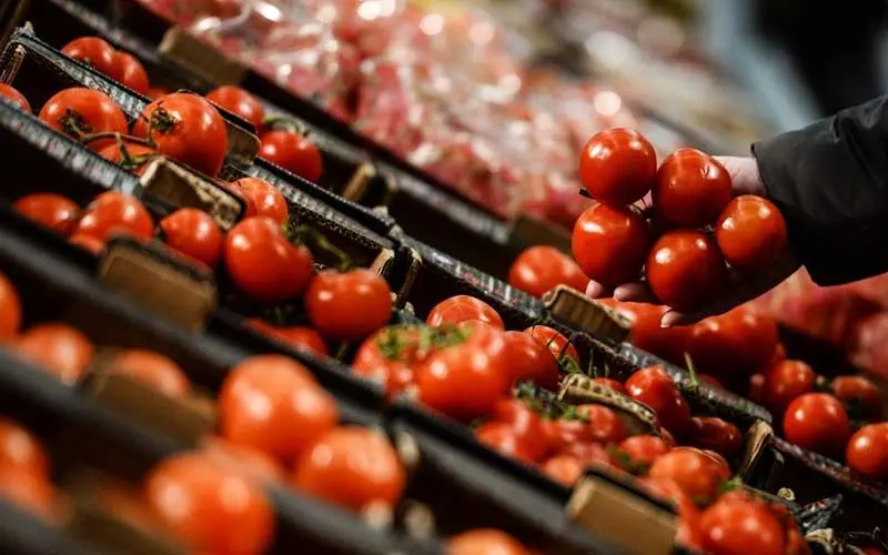 از سرگیری صادرات گوجه‌فرنگی ترکیه به روسیه