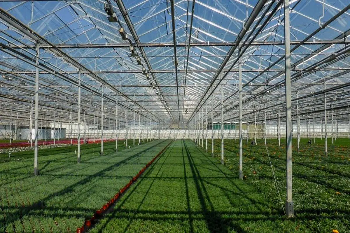 رشد ۷ درصدی صادرات کشاورزی هلند با برنامه‌ریزی وزارت کشاورزی