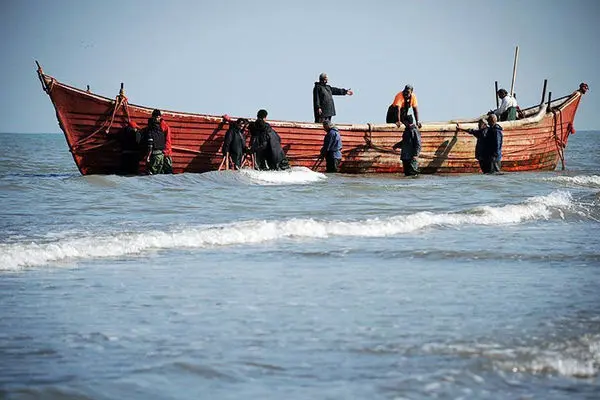 زنگ خطر برای خلیج فارس و دریای عمان به صدا درآمده است!