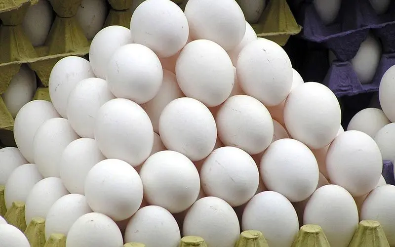 ثبات نسبی قیمت تخم‌مرغ در بازار